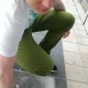 lukant