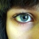 greenbrown