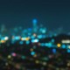 nocturnal_