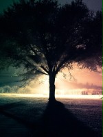 _OstatniRaz_