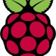 Raspberry00
