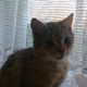 kinoman_Jacek