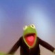 frogfrogfrog