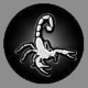 scorpion18
