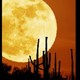 El_Dorado