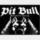 pit_bull