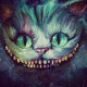 hellodarkness