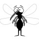 female_mosquito