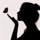 papillon_