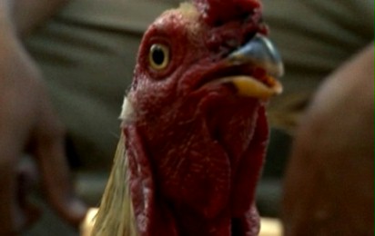 Bestia w nas - Fragment nr 1