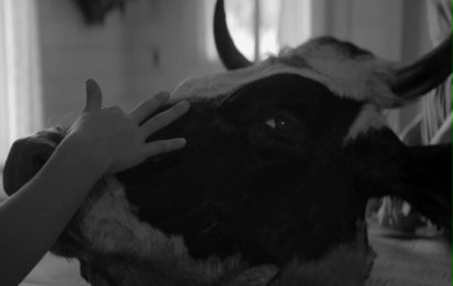 Oczy matki - Zwiastun nr 1