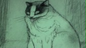 Animator - Dzień 5