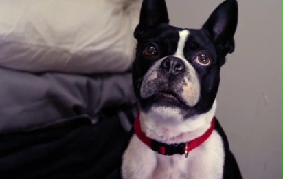 Alone for Christmas - Zwiastun nr 1