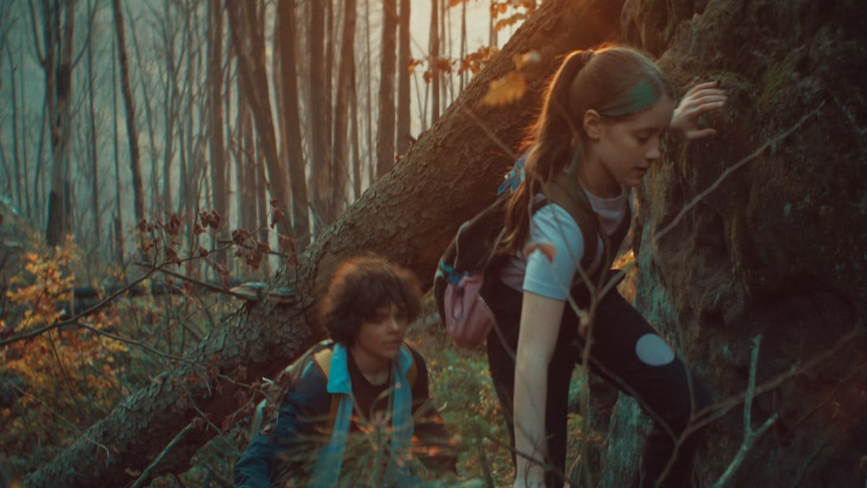 Debiut reżyserski montażysty filmów Smarzowskiego