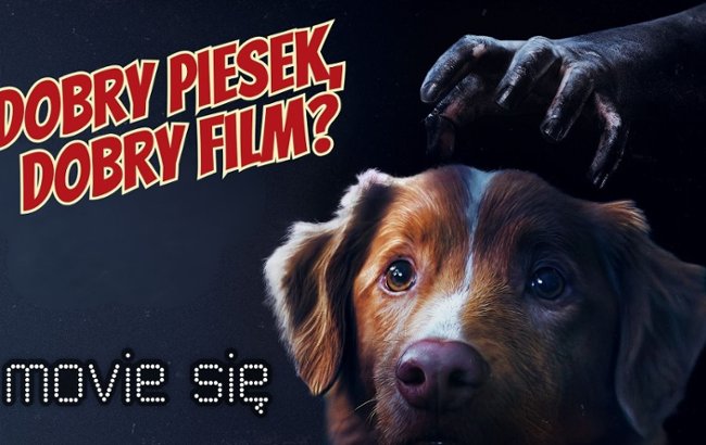 Oglądaj "Good Boy" - recenzja filmu