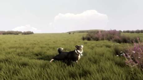 The Free Shepherd - Zwiastun nr 1