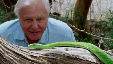 David Attenborough: Życie na naszej planecie - Zwiastun nr 1