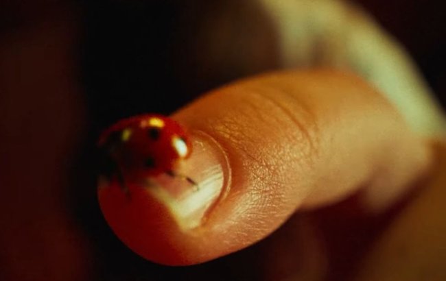 Pierwsza scena z filmu (polski)