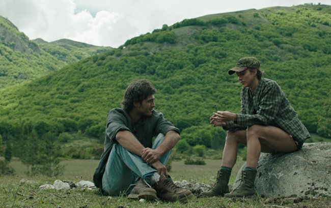 Gwiazdozbi&oacute;r Psa