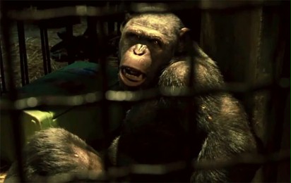 Ewolucja planety małp - Klip wiral "Epidemia"