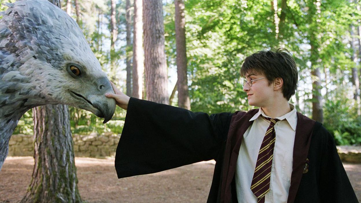 Na Skroty Harry Potter I Wiezien Azkabanu Filmweb