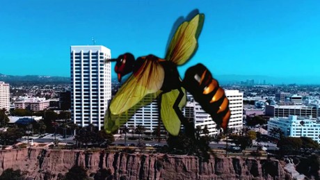 Angry Asian Murder Hornets - Zwiastun nr 1