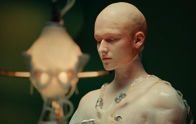 Dziwnie być człowiekiem