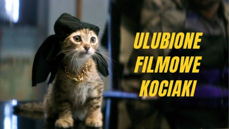 Kapitan Marvel - TOP Ulubione filmowe kociaki