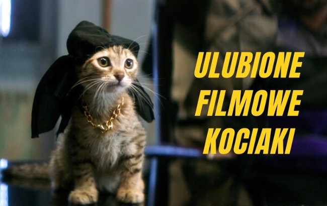 Ulubione filmowe kociaki