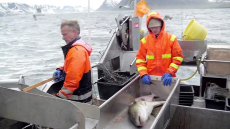 Ve&eth;rabrig&eth;i - Zwiastun nr 1 (angielski)