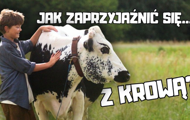 Oglądaj Relacja z planu filmu "Moja przyjaci&oacute;łka krowa"