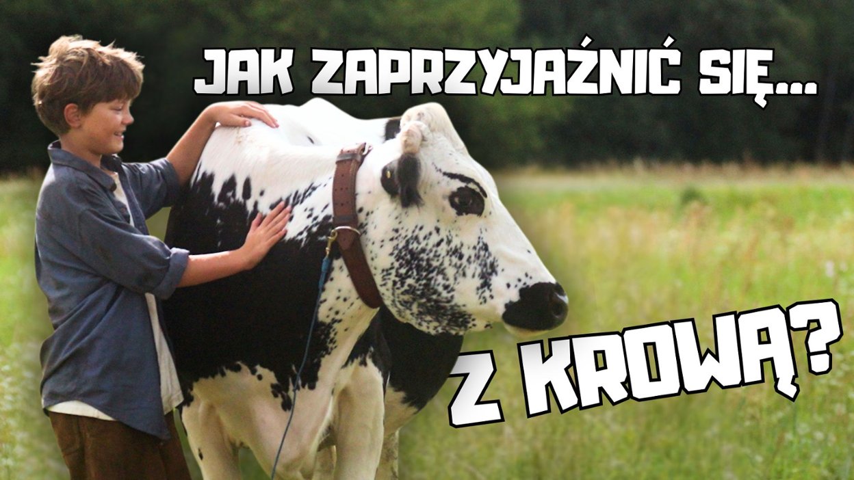 "Moja przyjaciółka krowa": Muuusicie zobaczyć ten film!