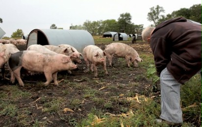 Zjadanie zwierząt - Zwiastun nr 1