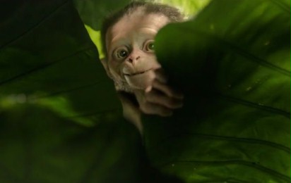 Mowgli: Legenda dżungli - Zwiastun nr 2 (polski)