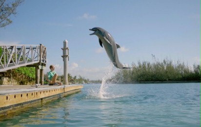 Wakacje z delfinem - Zwiastun nr 1