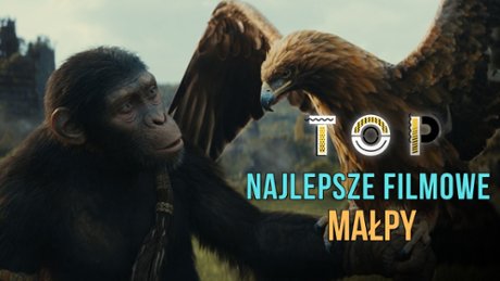 Królestwo Planety Małp - TOP Najlepsze filmowe małpy