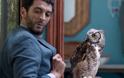 Hibou - Zwiastun nr 1